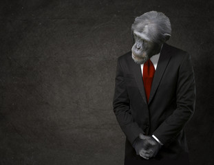 Fotobehang Aap Aap in zakelijk pak met stropdas  © Krakenimages.com