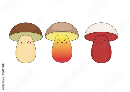 Mushroom edibility