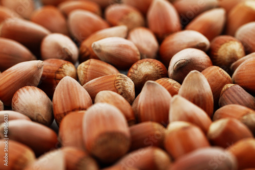 Tasty hazelnuts, close up