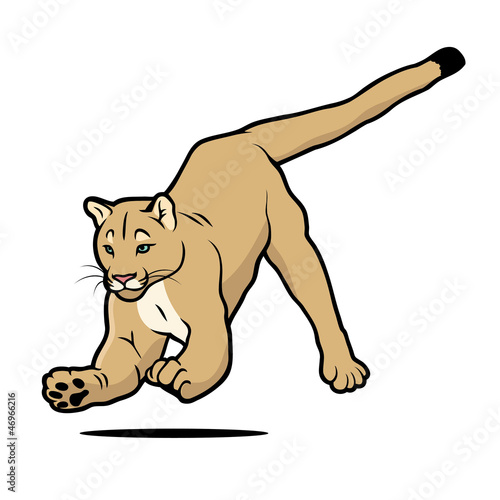 Cartoon cougar Stock Vector | Adobe Stock Cartoon cougar Stock Vector | Adobe Stock