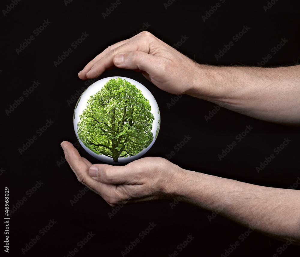 human hands protecting tree