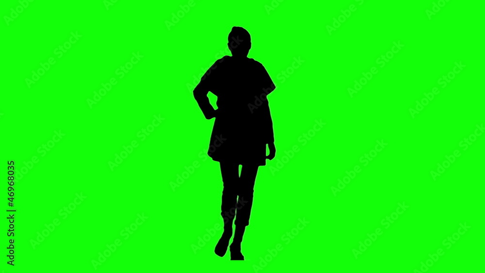 Catwalk Model Silhouette Catwalk Model Silhouette