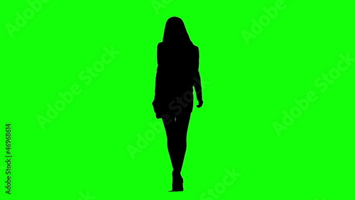 Catwalk Model Silhouette