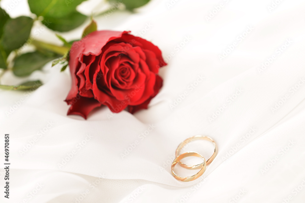 rose and rings rose and rings