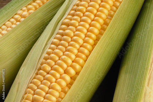 corn cob