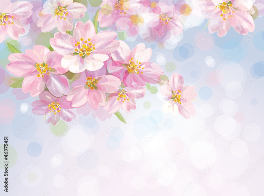 Vector of sping blossoming  tree with sky background