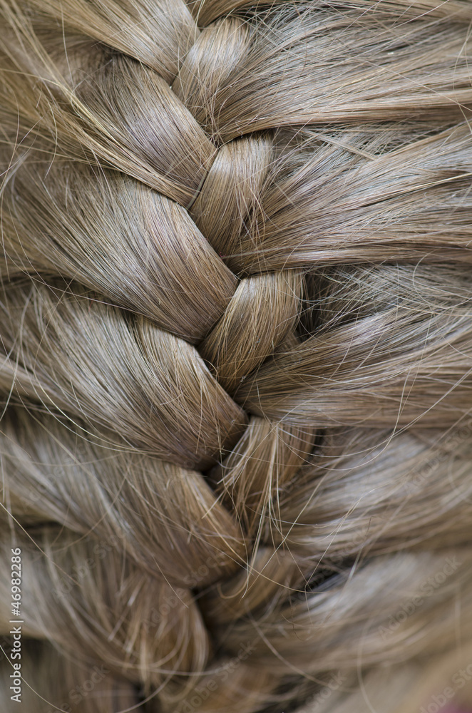 Fototapeta premium Braided Hair