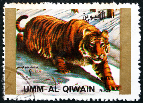 Postage stamp Umm al-Quwain 1972 Tiger, Animal photo