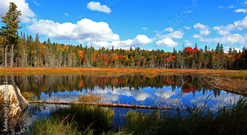 Algonquin Provincial Park photo