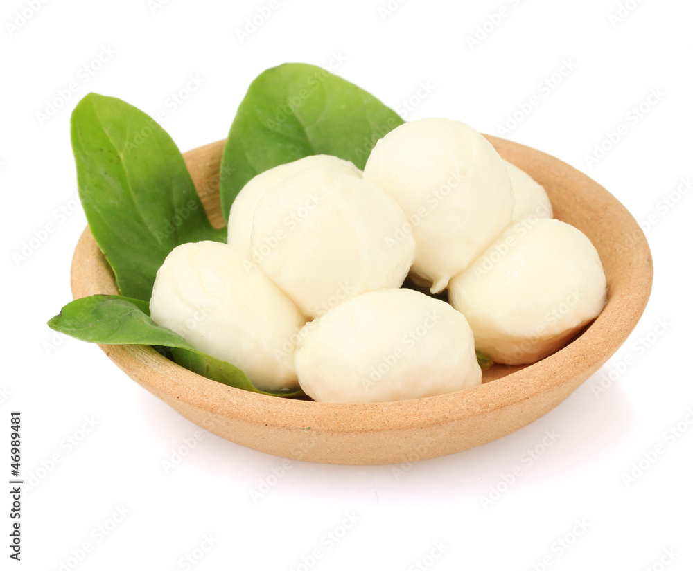 cheese mozzarella with green basil in the clay plate isolated cheese mozzarella with green basil in the clay plate isolated