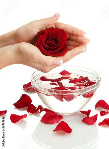 woman hands with glass bowl of water with petals, isolated