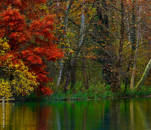 River corner in Autumn