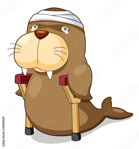 illustration of Cartoon sea lion be injured