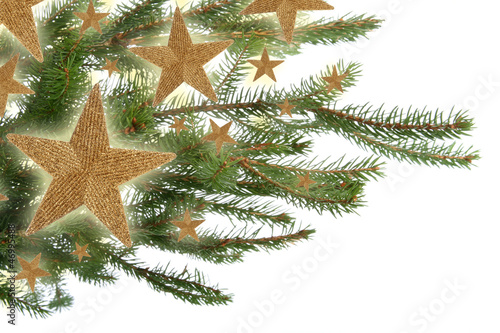 Christmas twig and gold stars