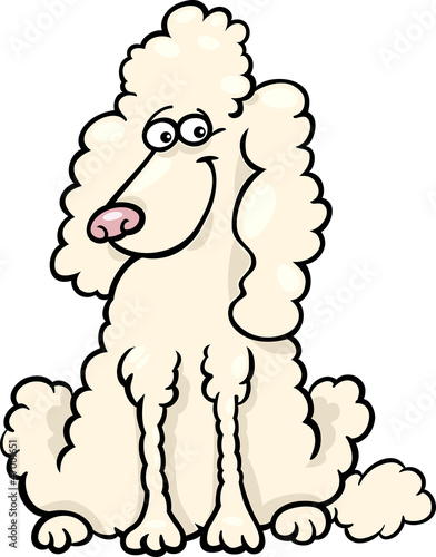 poodle dog cartoon illustration