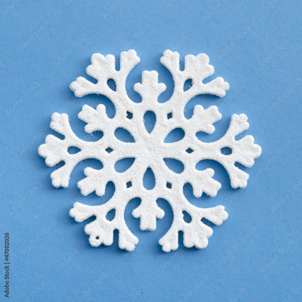 Schneestern Schneestern