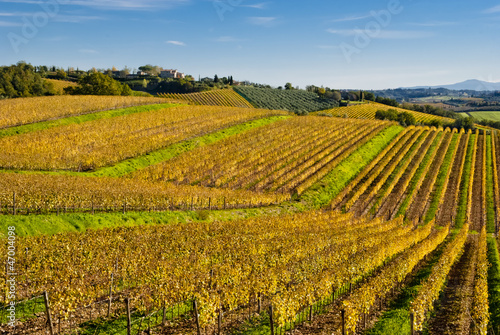 Chianti wine region vineyards, Tuscany, Italy © Marco Saracco