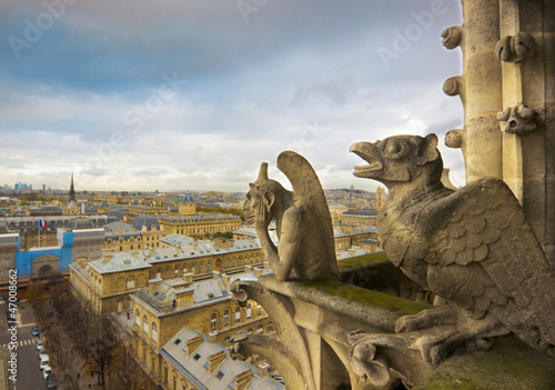 Gargoyles of Notre Dame over Paris © eska2012