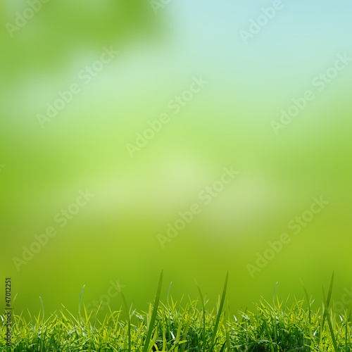 green natute background