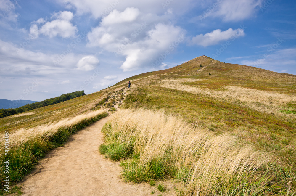 Fototapeta premium Carpathian mountains