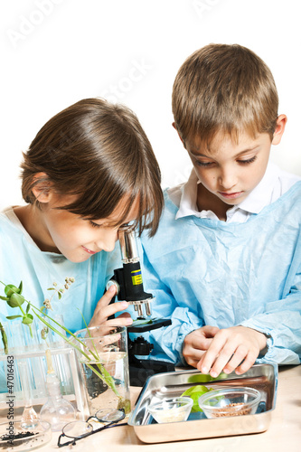 Young scientists