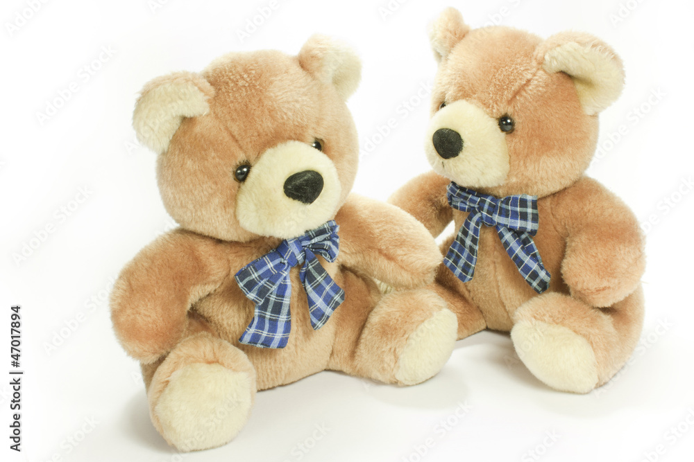 Obraz premium teddy bear