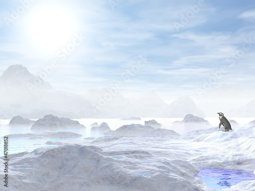 Bilde på lerret Penguin looking at the sun - 3D render
