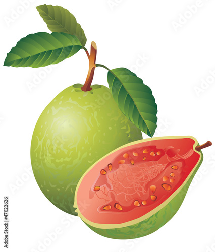 Guava