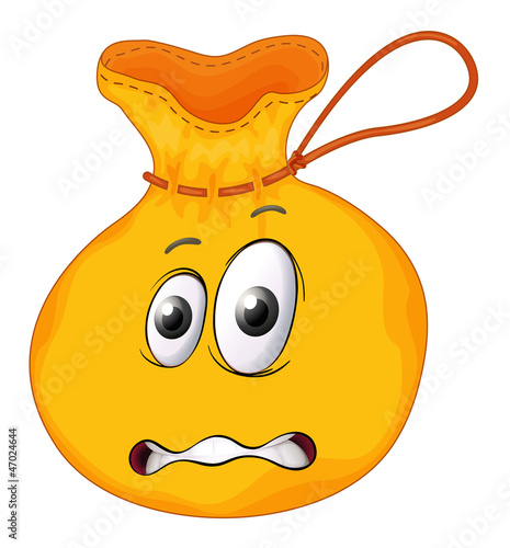 a face on a bag