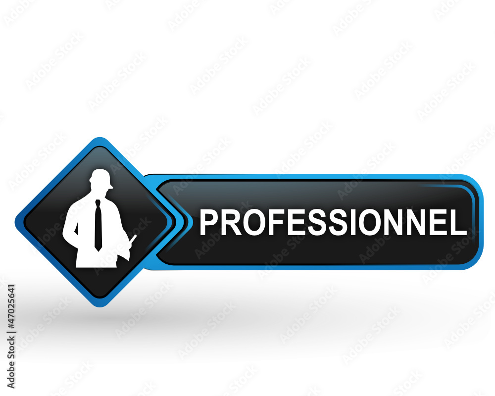 professionnel sur bouton web carré design bleu professionnel sur bouton web carré design bleu