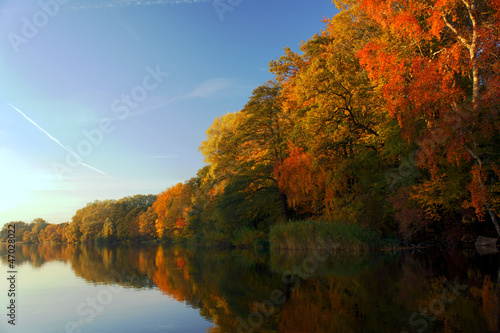 Fototapeta Naklejka Na Ścianę i Meble -  Las nad jeziorem jesienią