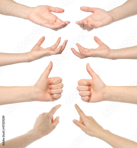 Collage of woman hands on white background