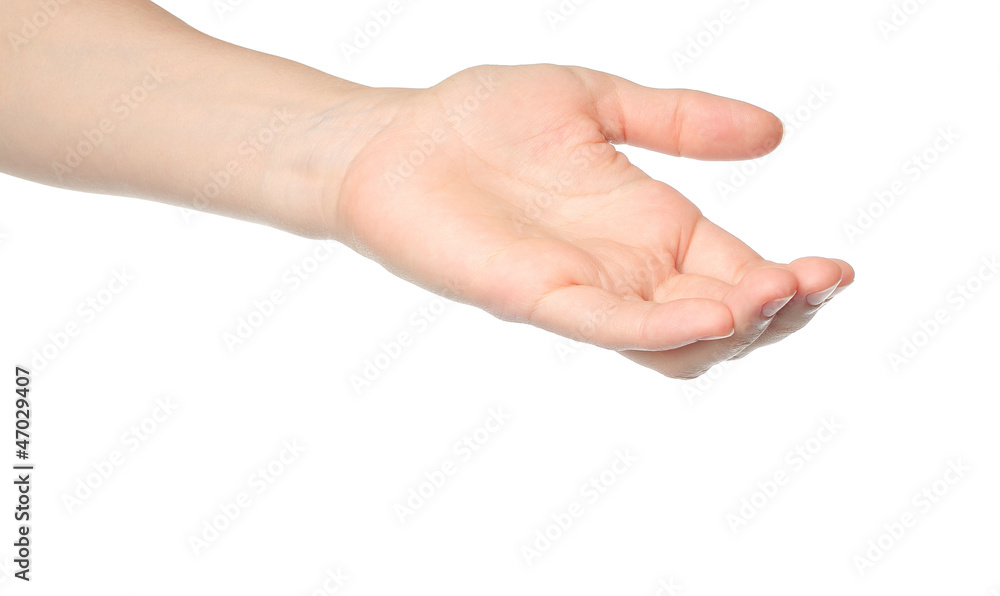 Open woman hand on white background Open woman hand on white background