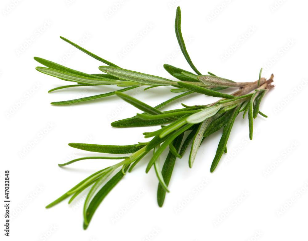 rosemary