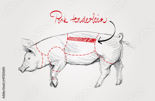 Pork tenderloin / Cuts of pig