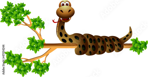 snake on the tree