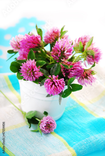 Fototapeta Naklejka Na Ścianę i Meble -  pink clover bouquet