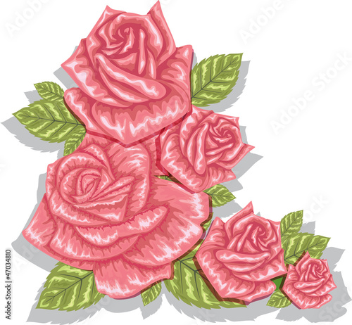 pink rose