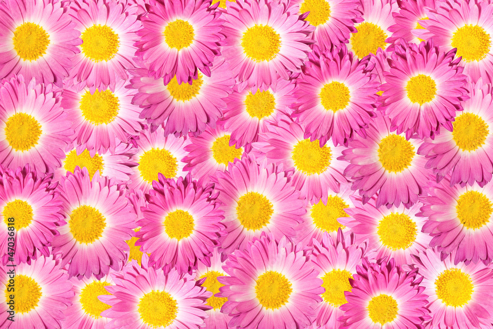 Background color. Background color.