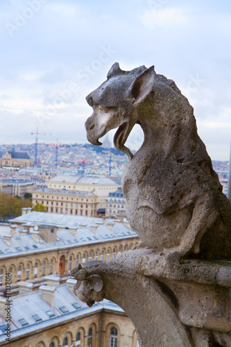 Gargoyle on Notre Dame Cathedral