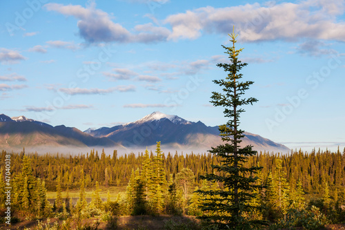 Alaskan landscapes