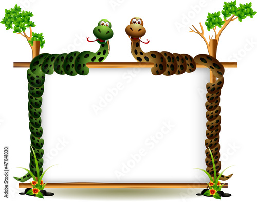 funny couple snake on the tree