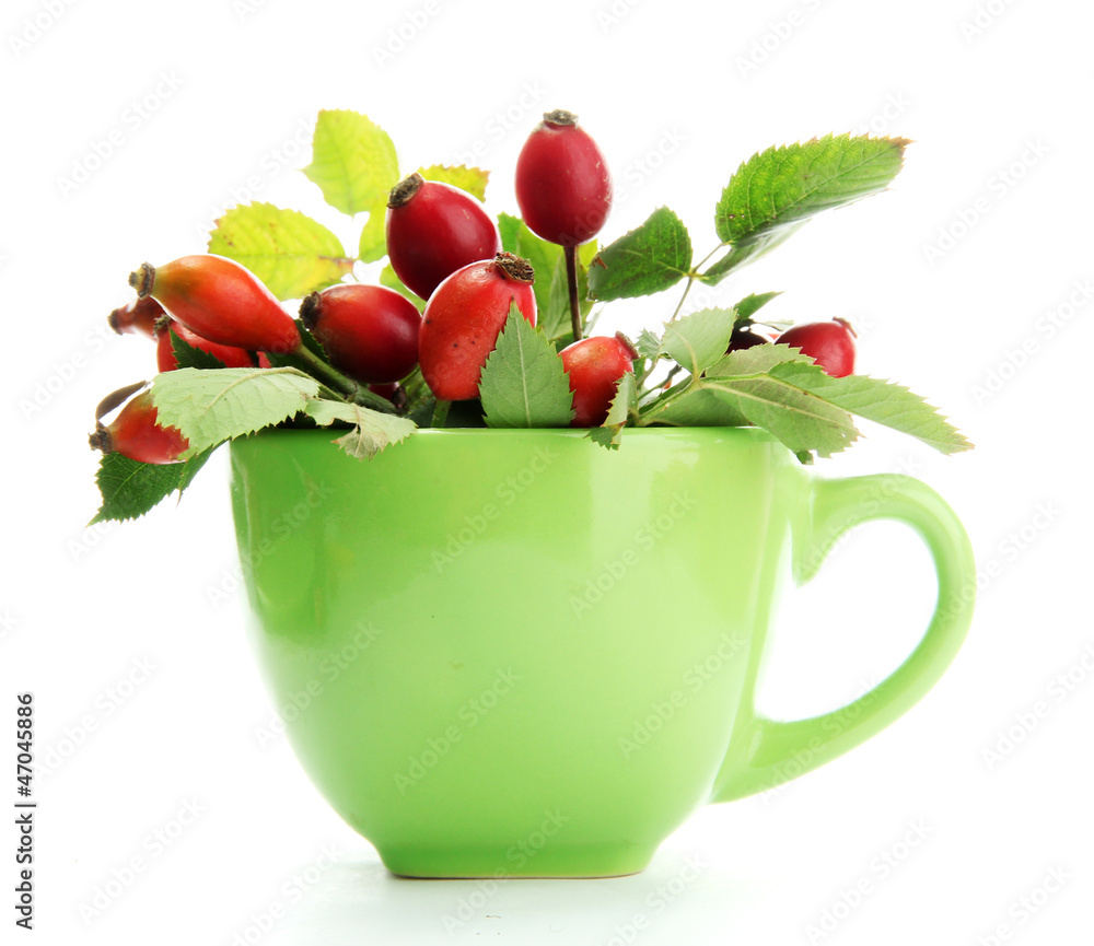 ripe hip roses with leaves in cup, isolated on white ripe hip roses with leaves in cup, isolated on white