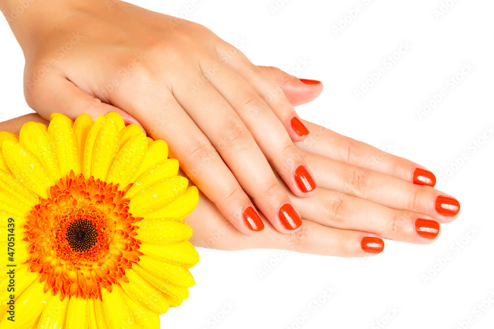 Fototapeta premium manicure on hands
