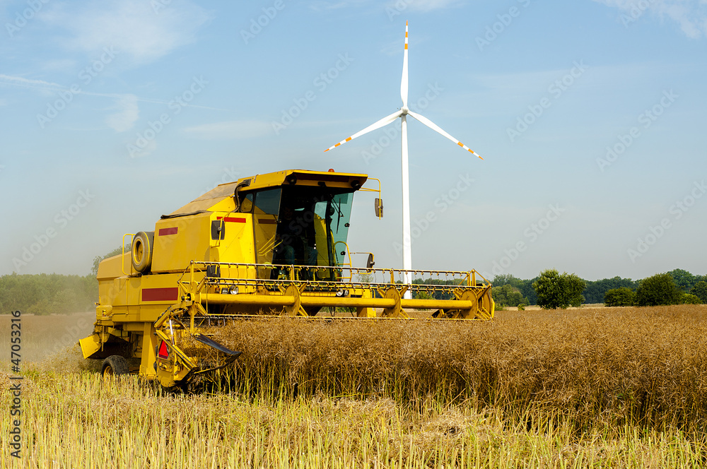 Obraz premium Combine harvester