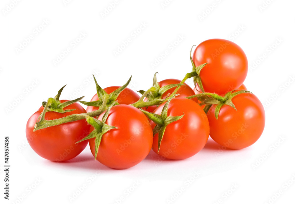 tomatoes on a white background