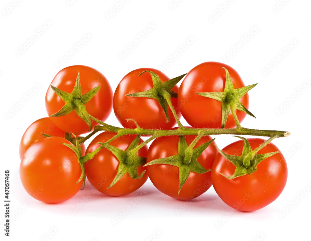 tomatoes on a white background tomatoes on a white background