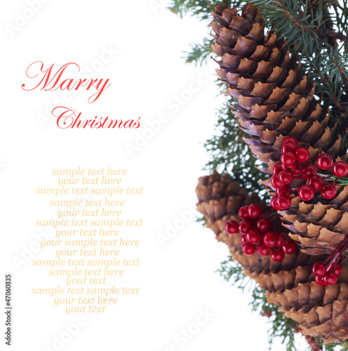 Christmas decorative fir branches