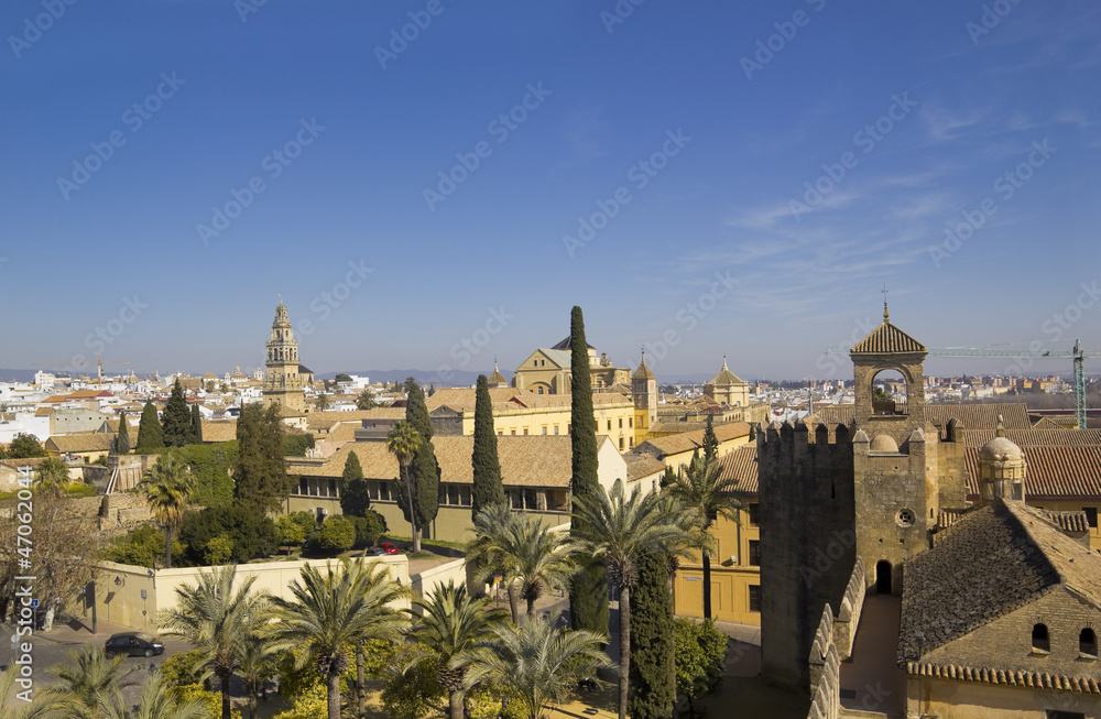 Panoramic of Cordoba city, Andalusia, Spain.