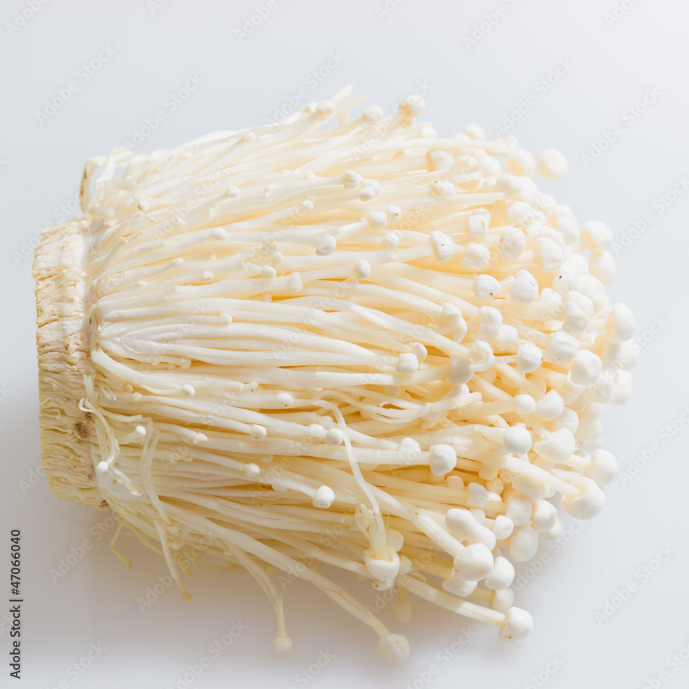 enoki mushroom enoki mushroom